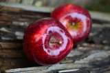 ¿Por qué la manzana y el té pueden prolongar la vida?