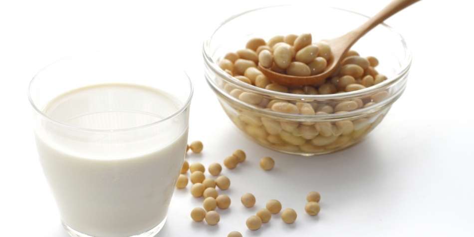 Mejora el tráfico intestinal con leche de soja