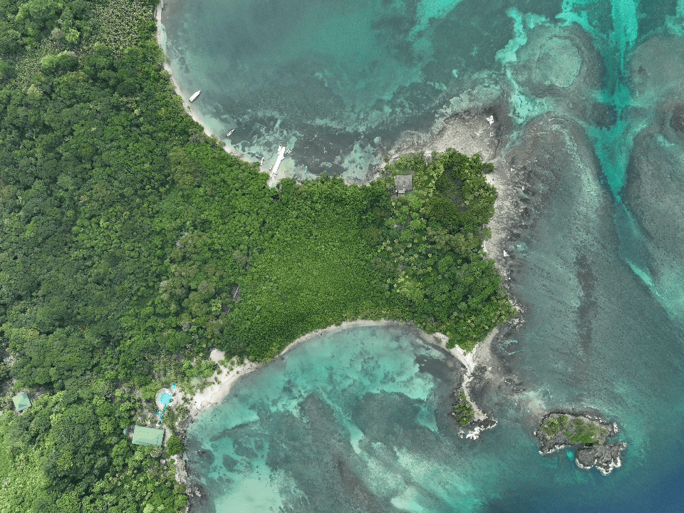El primer canje de deuda por naturaleza que hizo Colombia fue con Estados Unidos.