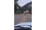 Ciclista desnudo transitó por vías de Santander