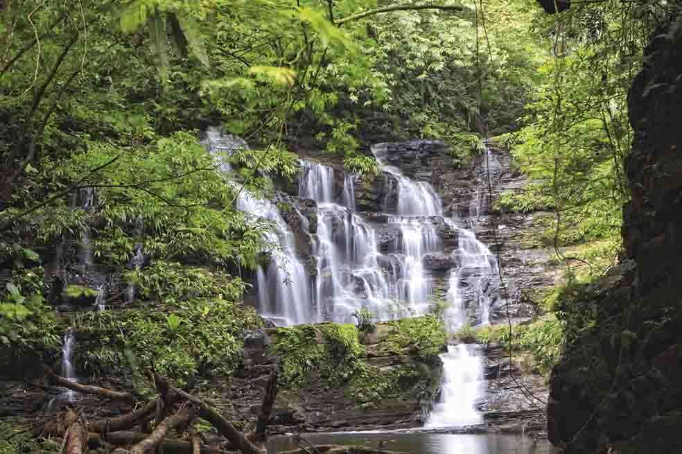  Parque Nacional Los Katíos (entre Chocó y Antioquia).