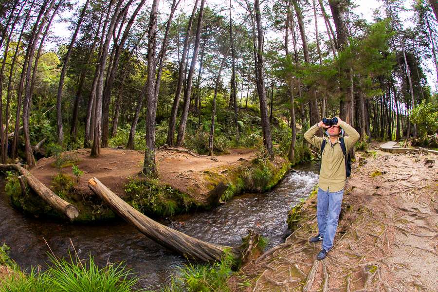 En respuesta a una creciente demanda de viajes enfocados en el bienestar integral, Medellín ha transformado su propuesta turística con spas, gastronomía consciente y espacios naturales que invitan a reconectar cuerpo y mente.
