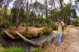 Medellín volvió a ser una de las ciudades con más verde del mundo en 2026: ¿Qué hacer aquí?