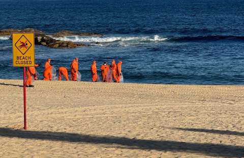 ¿Qué son las misteriosas bolas negras que aparecieron en las playas de Australia?