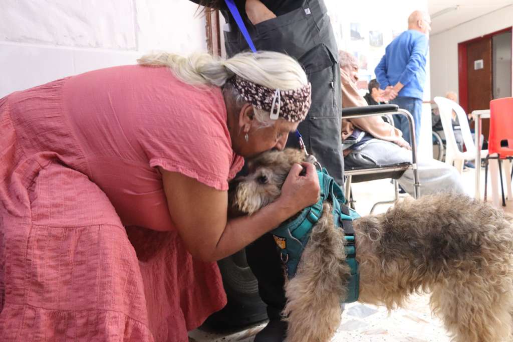 Chagualo, el perro rescatado que llevó alegría a un hogar de adultos mayores en Medellín