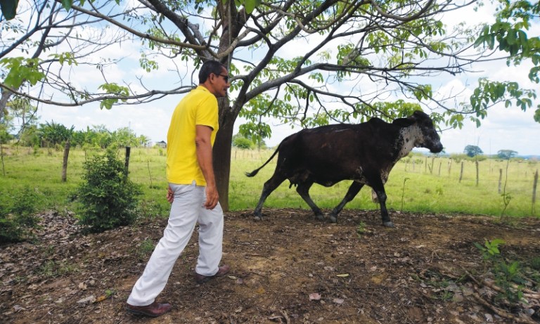 Un nuevo aire en Cedro Cocido, antigua hacienda de los Castaño en Montería