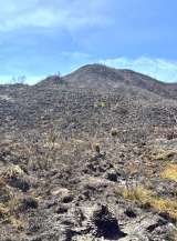 Chingaza en llamas: el rostro de otra temporada  de incendios en Bogotá