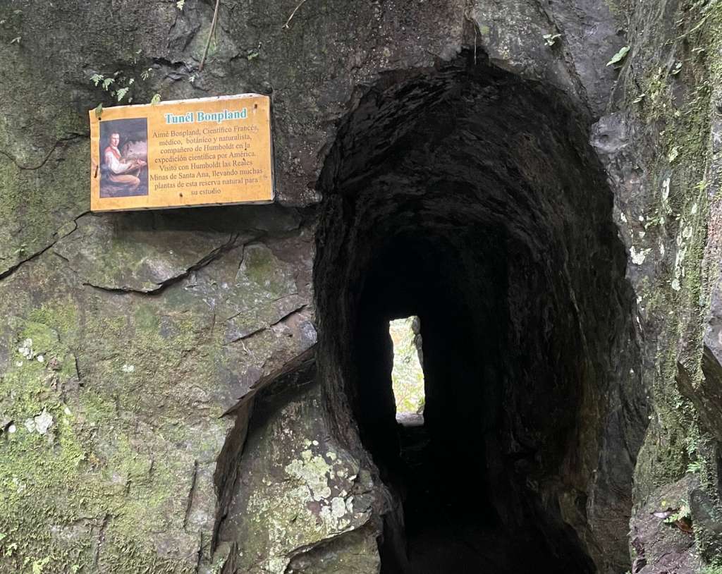 Túnel Bonpland, en honor al científico francés Aimé Bonpland.