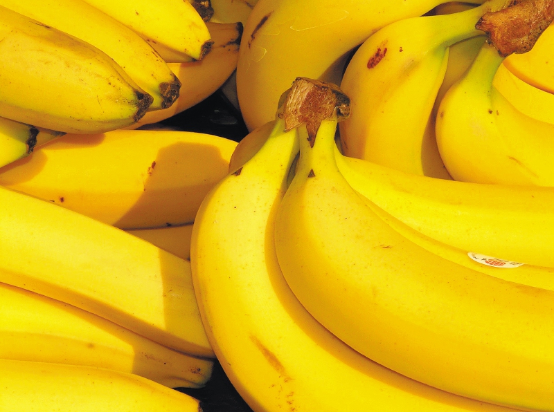 El banano tuvo el mayor peso en las exportaciones de fruta colombiana durante 2022, representando una participación del 66 % sobre el valor total de las frutas. Imagen de referencia. / Pixabay