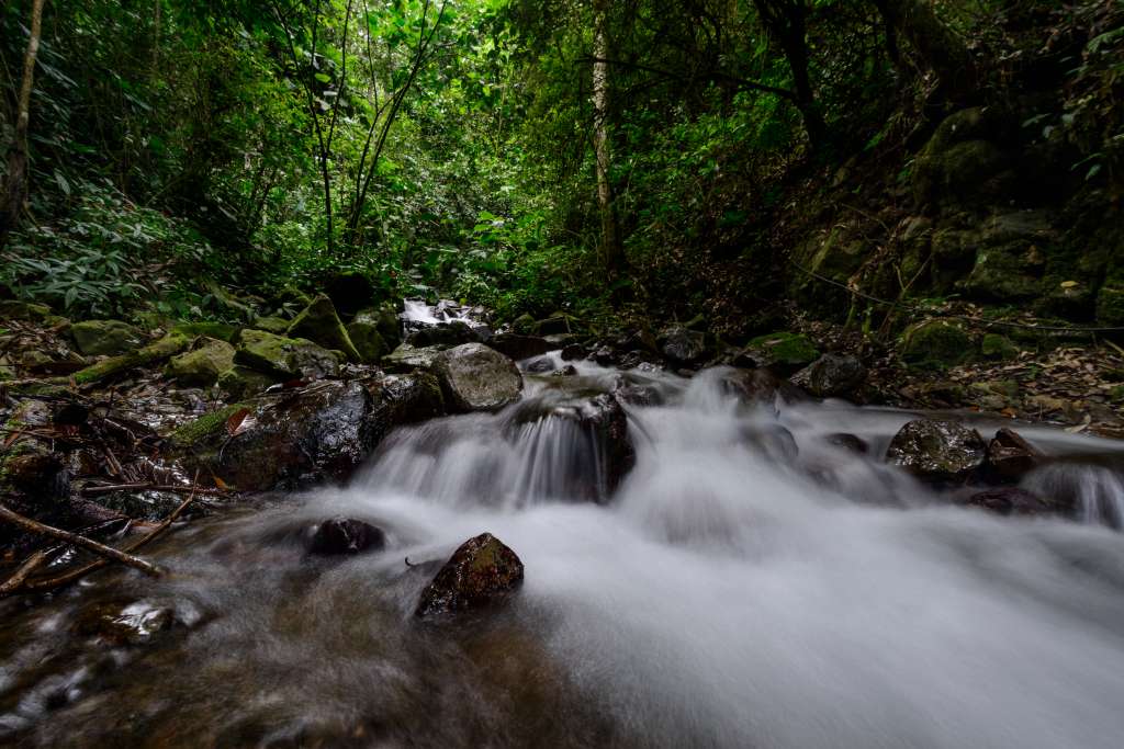 Una buena regulación necesita de herramientas para su implementación: Agua para Colombia