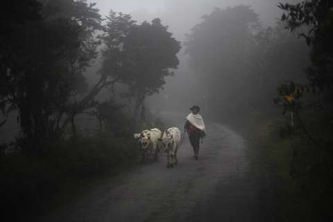 Un diálogo para la no repetición del conflicto armado en Sumapaz