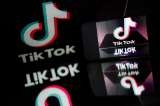 La Casa Blanca estrena cuenta en TikTok: “Yo soy su voz”, dice Trump