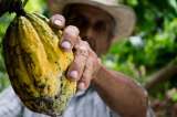 El camino hacia un campo colombiano más sostenible