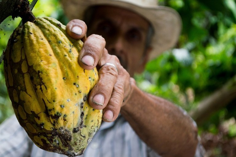 En FIMA, Colombia recibió 33.5 millones de dólares para desarrollo sostenible