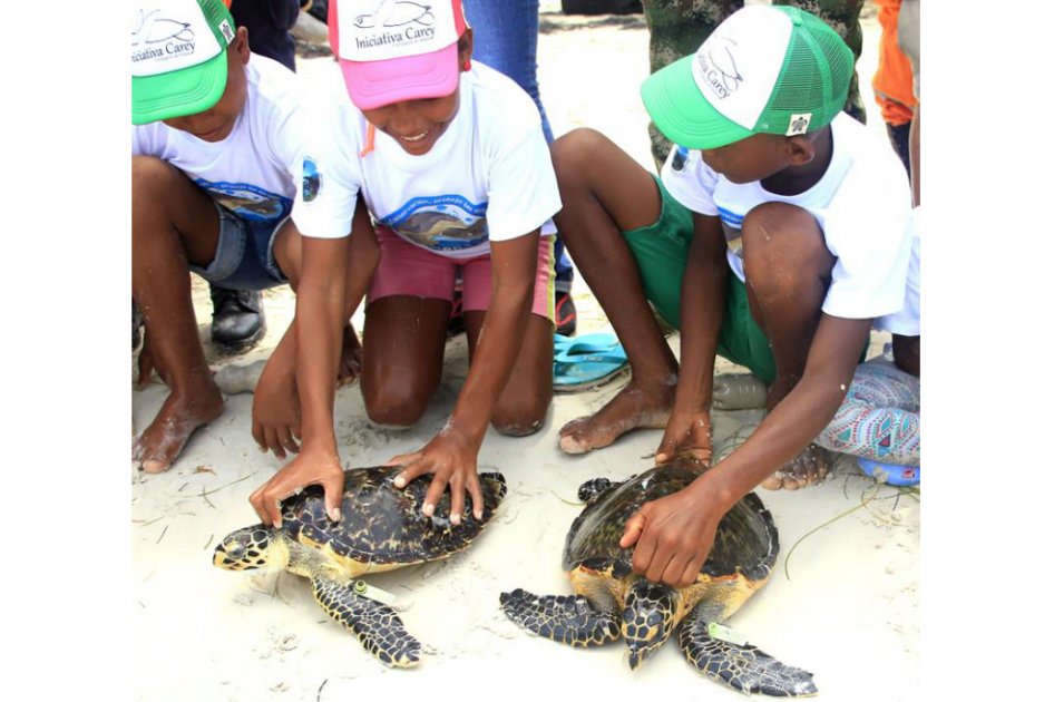 "El verdadero sentido es que los niños, que son los principales guardianes de las tortugas, sean los que lleven a través de la lúdica y la representación el mensaje de la conservación de las tortugas marinas", dijo la coordinadora de educación ambiental del Parque. / EFE