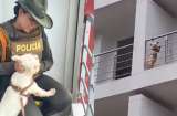 Autoridades recatan a perrito amarrado en un balcón de conjunto en Yopal