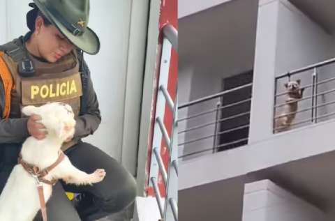Autoridades recatan a perrito amarrado en un balcón de conjunto en Yopal