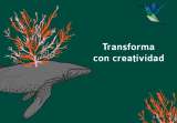Abierta convocatoria para presentar proyectos audiovisuales al Festival Internacional de Cine Ambiental