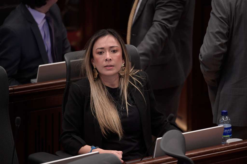 Congresista, durante el debate en que aprobaron la reforma a la Salud en la Cámara de Representantes.