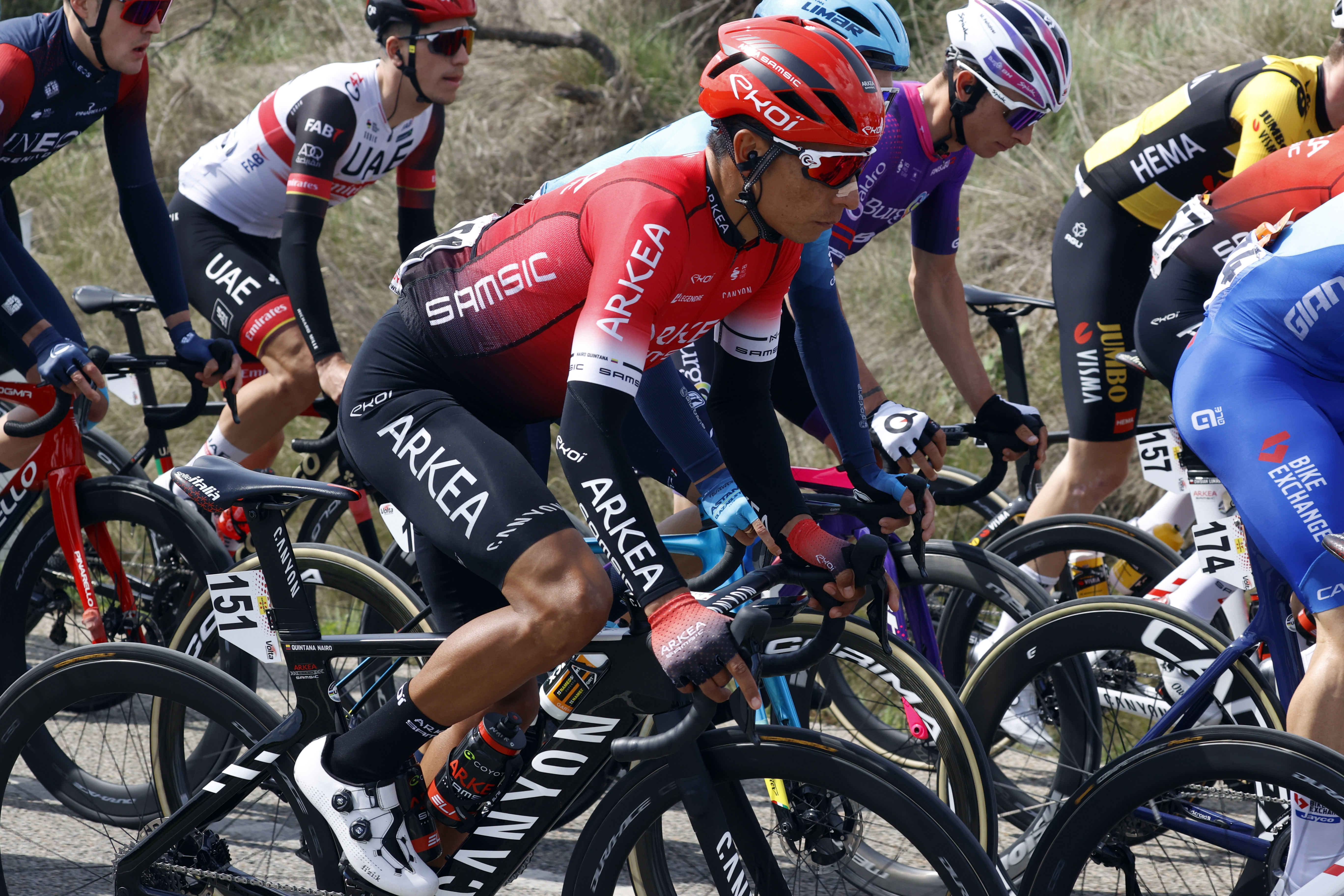 GRAFCAT4982. PERPIÑÁN (FRANCIA), 22/03/2022.- El ciclista colombiano del Team Arkea-Samsic, Nairo Quintana, durante la segunda etapa de la Volta Ciclista a Cataluña, que recorrió 202,4 km entre L'Escala (Girona) y Perpiñán (Francia). EFE/Toni Albir