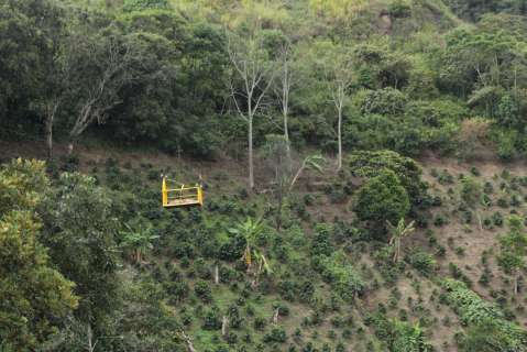 Lo que implica reducir a la mitad la meta de compra de tierras del Gobierno