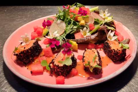 Salmon Salad, el plato ideal para una tarde de verano