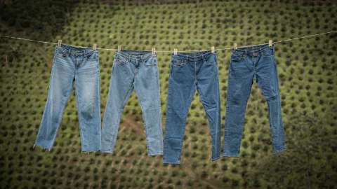 “Dona tu jean”, la iniciativa que beneficiará a caficultores: así puede participar