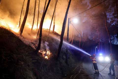 Siete colombianos integrarán el panel de expertos más importante sobre cambio climático