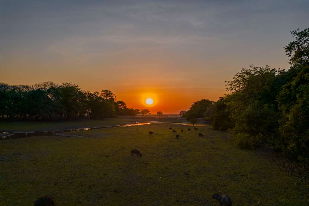 La misión de El Encanto de Guanapalo, en Casanare, es impartir los valores de la sostenibilidad.