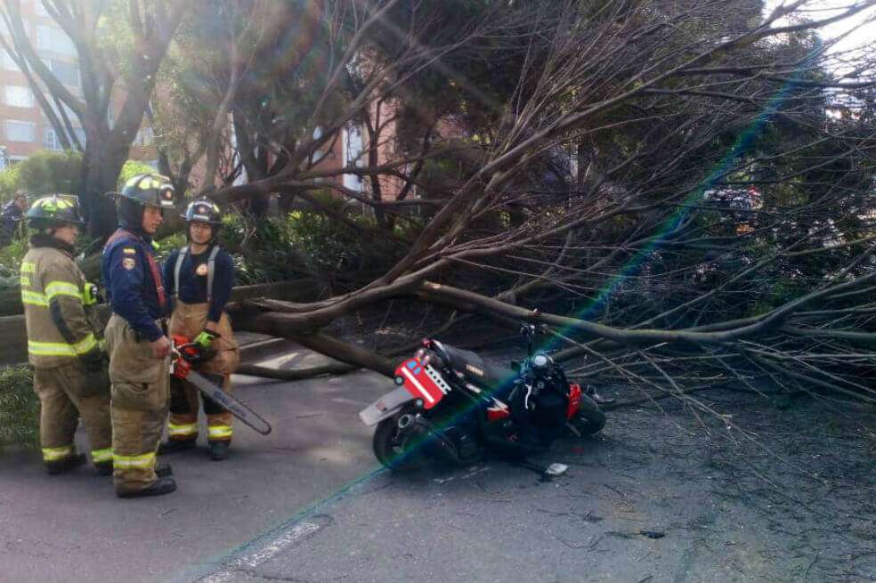 Tomada de Twitter: @BomberosBogota