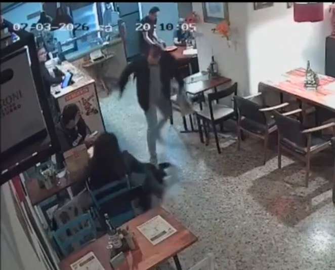 Indignación en redes por un video grabado en una panadería de Chapinero: un profesor universitario fue captado pisando a una perrita.