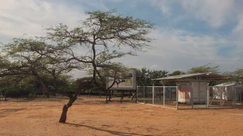 Entregan 80 comunidades energéticas con paneles solares en La Guajira