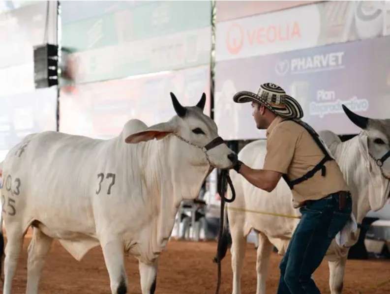 Programación de la Feria de Montería 2026: eventos e invitados