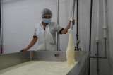 Así es como las subastas de leche buscan incentivar compras a productores del país