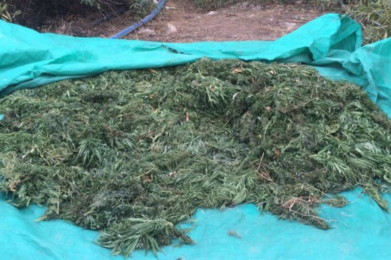 Aparecen paquetes de marihuana en playas de Florida
