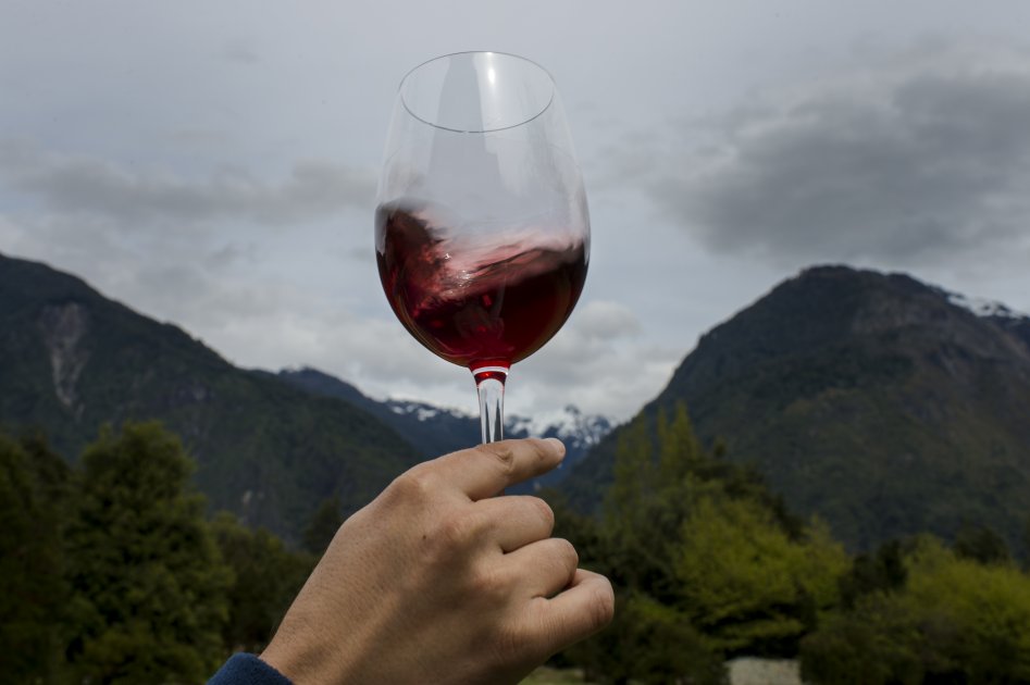 Chile es el cuarto mayor exportador y octavo productor mundial de vino. / AFP