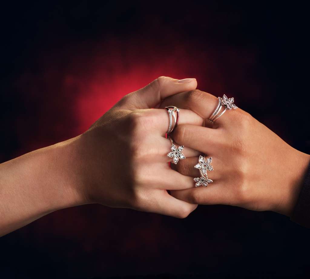 Anillos