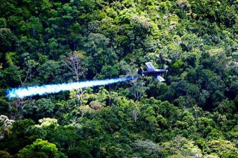 Suspender el uso de glifosato no es una concesión a las Farc: Santos