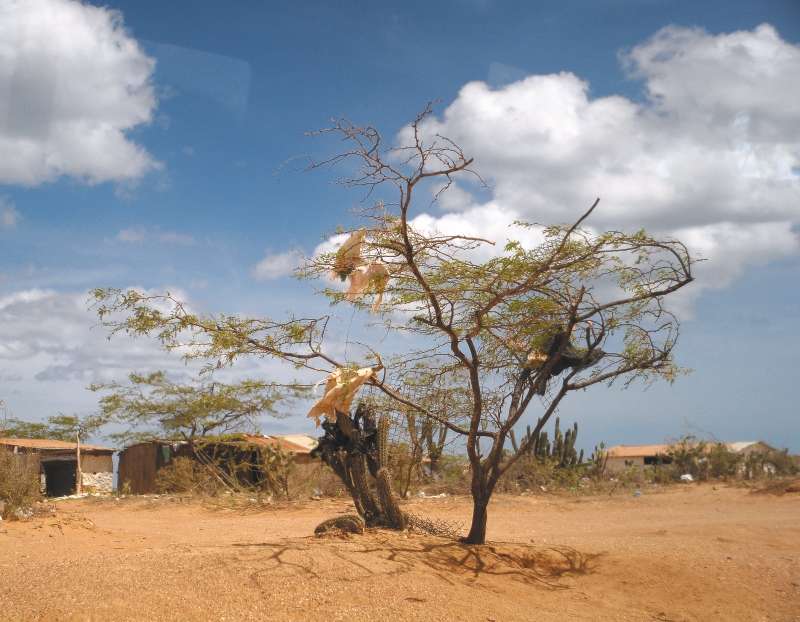La situación de desigualdad en La Guajira se evidencia en cada una de sus carreteras y sus viviendas.