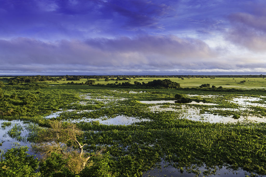 Vista aérea de Pantanal.
