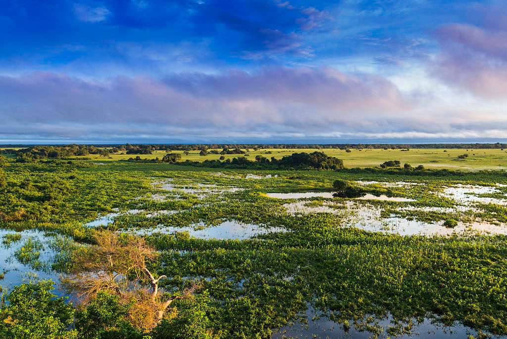 Vista aérea de Pantanal.