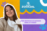 ¿Cómo identificar un santuario de verdad?