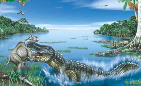 ¿Rastros de páramos en la Amazonia de hace 15 millones de años?