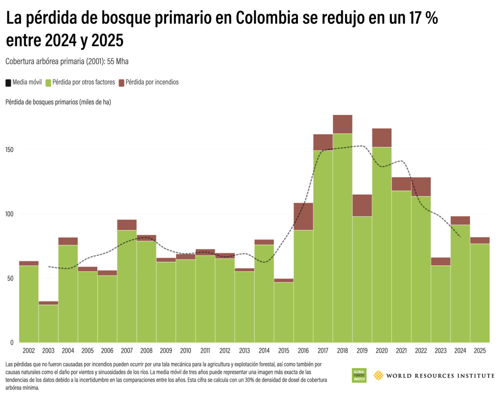 Pérdida de bosque primario en Colombia durante 2025.