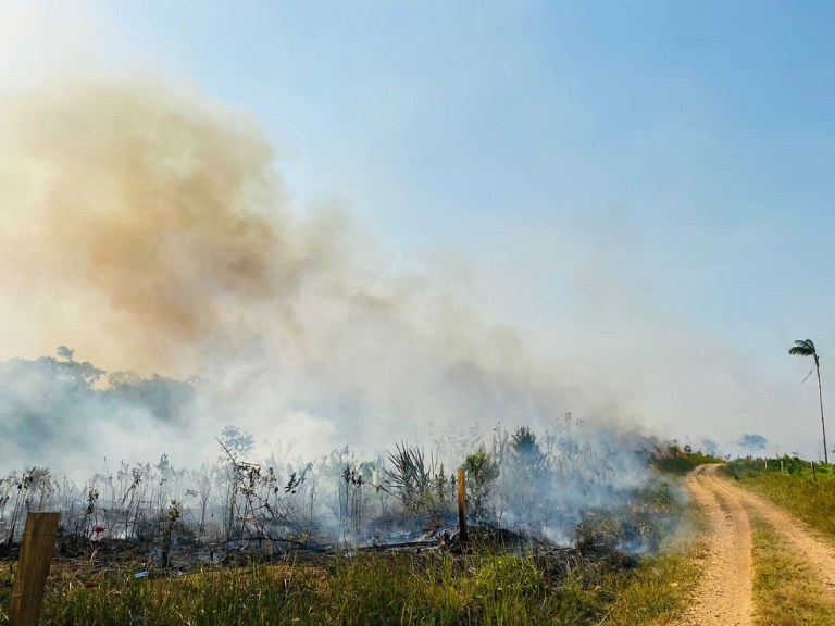 Durante la época seca se queman hectáreas de bosque para extender las fronteras agrícolas y ganaderas.