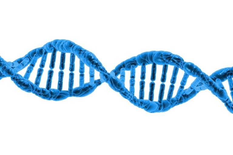 Los genes podrían controlar tu longevidad, por más saludable que sea tu estilo de vida