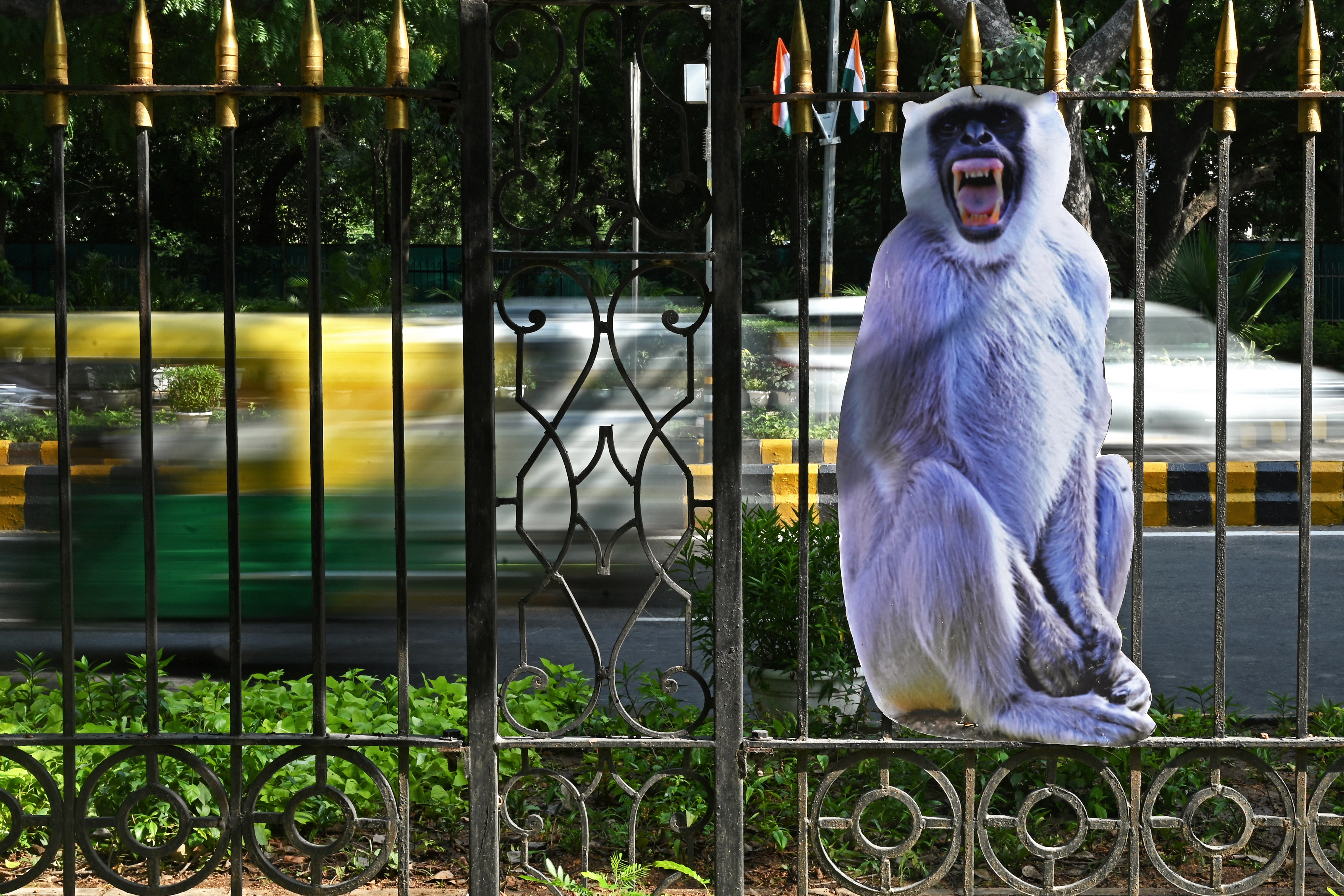 Una figura recortada de tamaño natural de un langur gris para ahuyentar a los monos en un parque de Nueva Delhi el 30 de agosto de 2023, antes de la Cumbre del G20 en India.