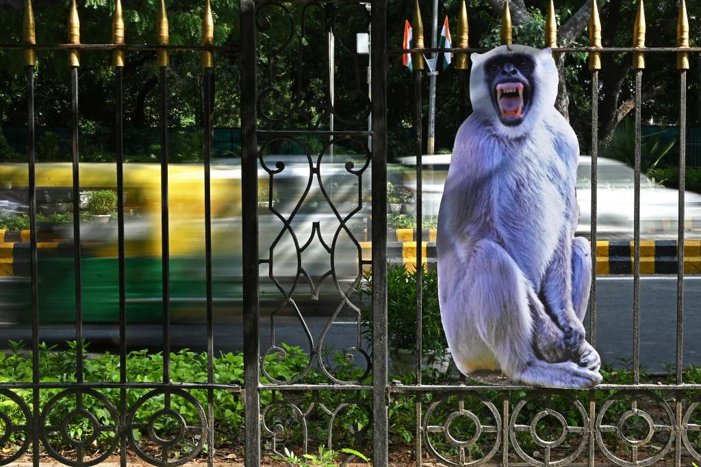 Una figura recortada de tamaño natural de un langur gris para ahuyentar a los monos en un parque de Nueva Delhi el 30 de agosto de 2023, antes de la Cumbre del G20 en India.