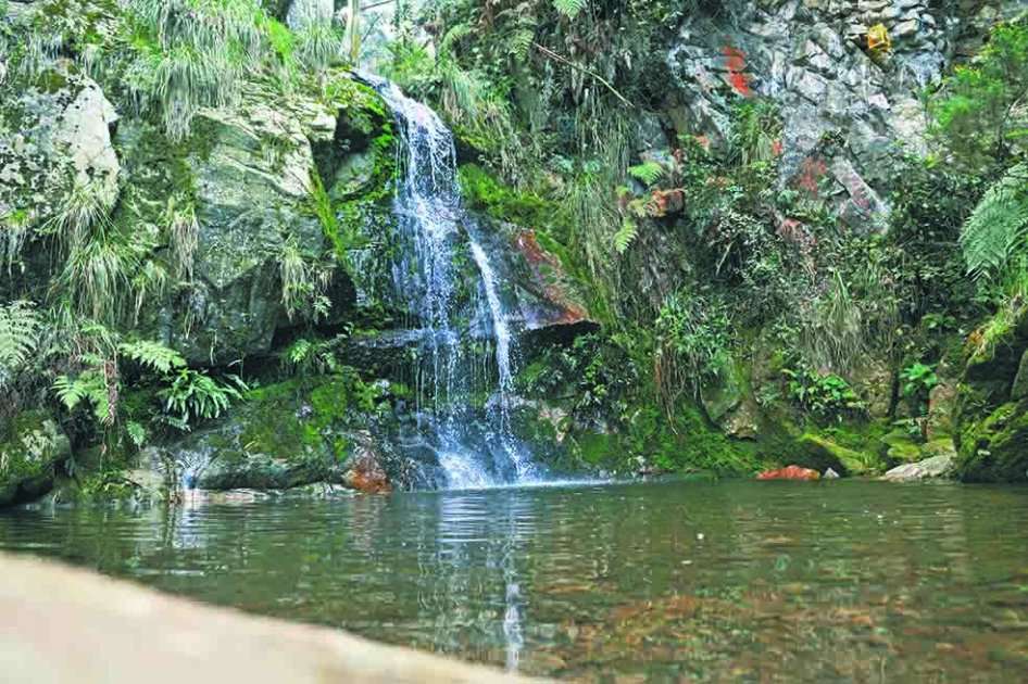Quebrada Las Delicias, en la localidad de Chapinero. / Liz Durán