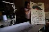 Grandes victorias en la eterna batalla contra el dengue